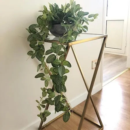 Un Petit Coin De Bastide